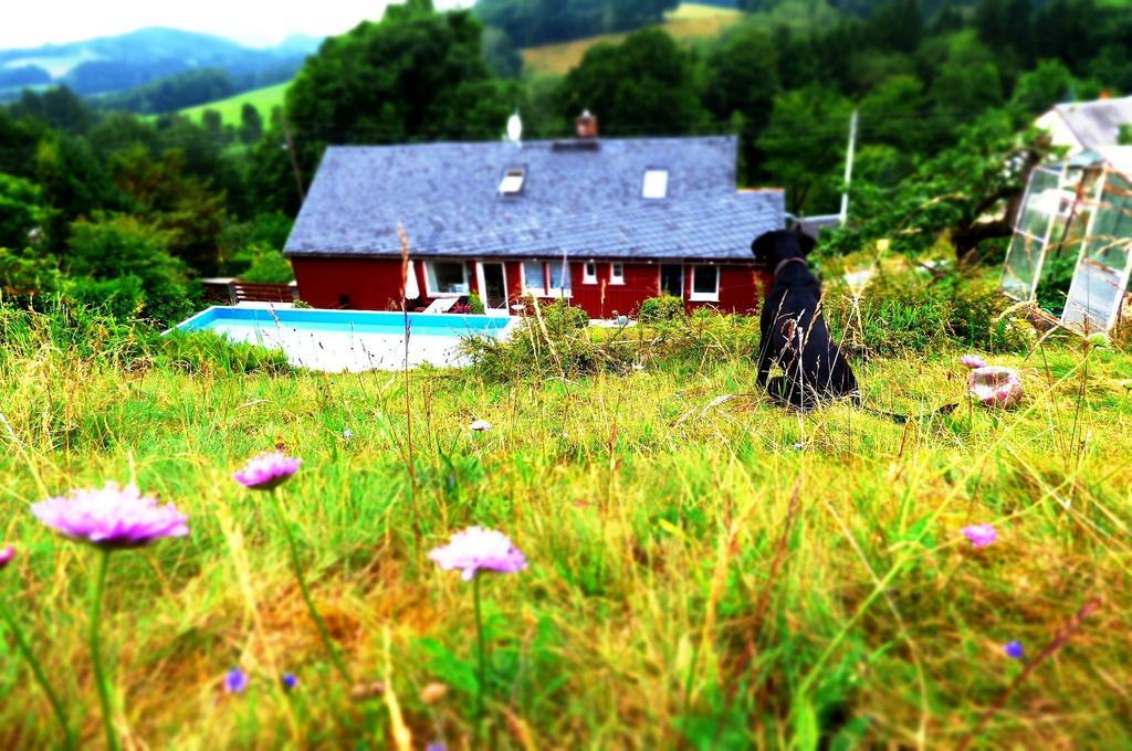 Ferienwohnung Ferienhaus am Horn Sebnitz Exterior foto